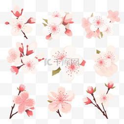 日本设计图片_平面设计樱花系列