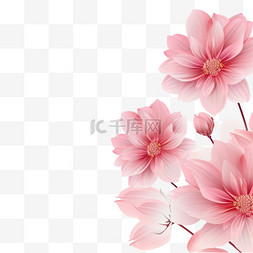 壁纸风光图片_粉色花朵背景