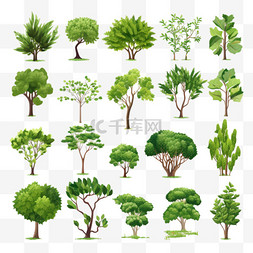 植物树影图片_品种繁多的植物和树木
