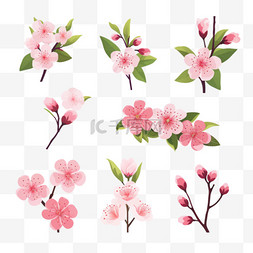 平面设计樱花系列