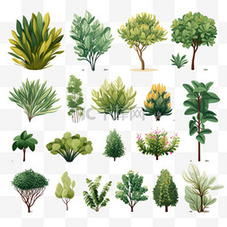 卡通树的剪影图片_品种繁多的植物和树木