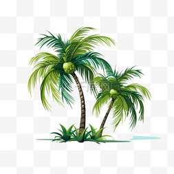 夏日背景棕榈树设计