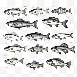 世界和平字图片_雕刻复古手绘鱼类系列。