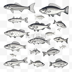 手绘海鱼图片_雕刻复古手绘鱼类系列。