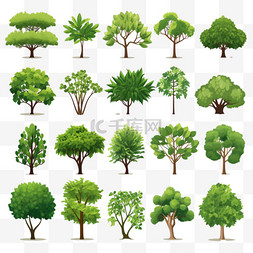 品种繁多的植物和树木