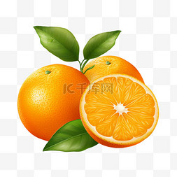 透明背景上的橙色水果