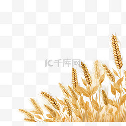 落日背景图片_扁平小麦背景