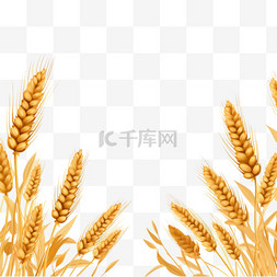 平云图片_扁平小麦背景