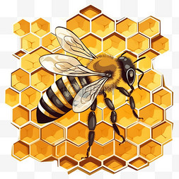 蜂巢卡通蜜蜂元素立体免扣图案