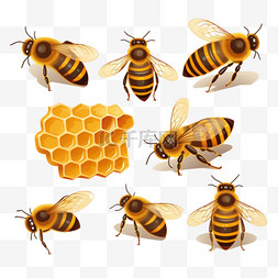 蜂巢立体图片_蜂巢蜜蜂ai元素立体免扣图案