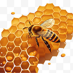 蜂巢立体图片_蜂巢装饰蜜蜂元素立体免扣图案