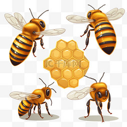 蜂巢立体图片_蜂巢手绘蜜蜂元素立体免扣图案