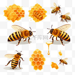 蜂巢蜜蜂图形元素立体免扣图案