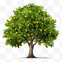 柠檬树植物元素立体免扣图案