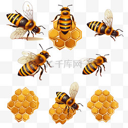 蜂巢真实蜜蜂元素立体免扣图案