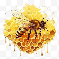 蜂巢甜蜜蜜蜂元素立体免扣图案