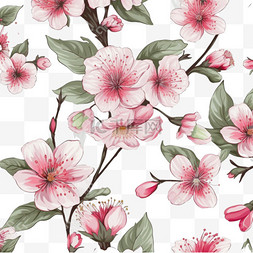 手绘樱花花卉图片_花朵无缝图案。白色背景上若隐若