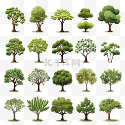 画的大树图片_一套不同的树木设计