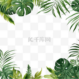 手绘异国风情图片_绘制的热带树叶背景
