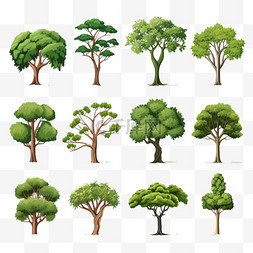 一套不同的树木设计