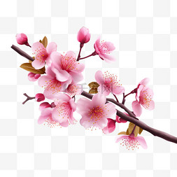 樱花背景素材图片_逼真的樱花枝条