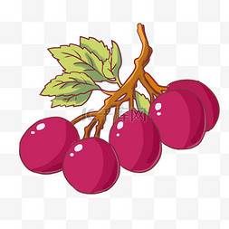 水果葡萄免抠元素