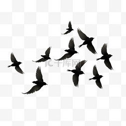 飞翔的海鸥png图片_一群飞翔的侧影鸟矢量插图