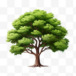 色彩绿图片_透明背景上的树