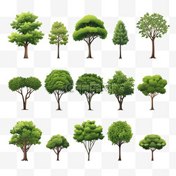 绿色植物的生长图片_真实的树透明集，带有树叶、绿叶
