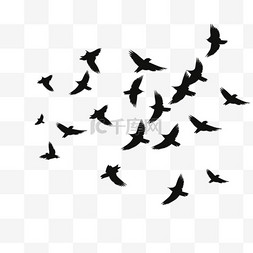 鸽鸽图片_一群飞翔的侧影鸟矢量插图