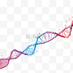 因子基因图片_DNA分子集