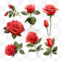 透明花束图片_玫瑰色逼真的透明套装，红色花朵