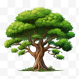 绿色背景色图片_透明背景上的树