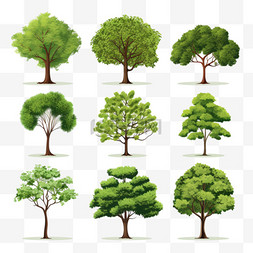 透明图标设计图片_真实的树透明集，带有树叶、绿叶
