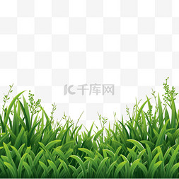 绿草背景图片_草边界向量插图