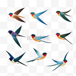 五颜六色的飞燕平面插图集。