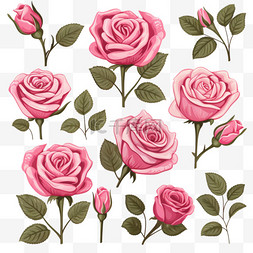 植物手绘粉色图片_手绘粉色玫瑰系列