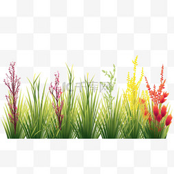 蔬菜的生长图片_收集不同颜色的边草