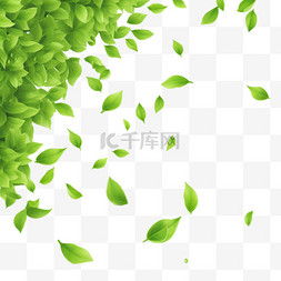 绿叶飞图片_绿茶在空中飞舞的3D背景