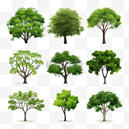 手绘植物集合图片_六棵树的集合