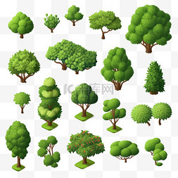 具有各种形状的绿树和灌木的公园