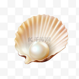 水球素材图片_珍珠贝壳真实感特写图像