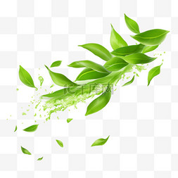 3d绿树图片_绿茶在空中飞舞的3D背景