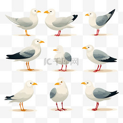 珍稀鸟类素材免抠图片_海鸥卡通人物平面矢量插图集。可