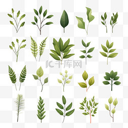 各种植物图标图片_各种形状和形式的绿叶套装