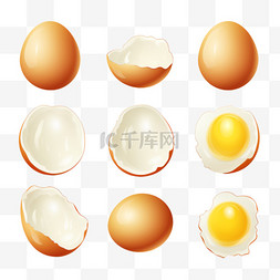 蛋白质粉矢量素材图片_孤立的鸡蛋，逼真地与煮鸡蛋、蛋
