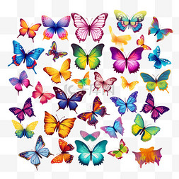 一大批五颜六色的蝴蝶。