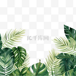 热带水彩手绘图片_线条艺术热带树叶