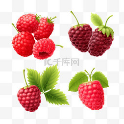 png透明小图标图片_逼真的浆果透明集与树莓、草莓、