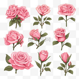 手绘玫瑰花叶图片_手绘粉色玫瑰系列
